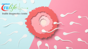 Expert-Male-Fertility-Testing-and-Solutions-at-Trulife-Diagnostic-Hyderabad-1